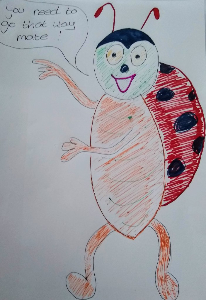 My image of a Heading Bug